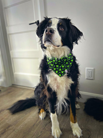 "Clover" Bandana