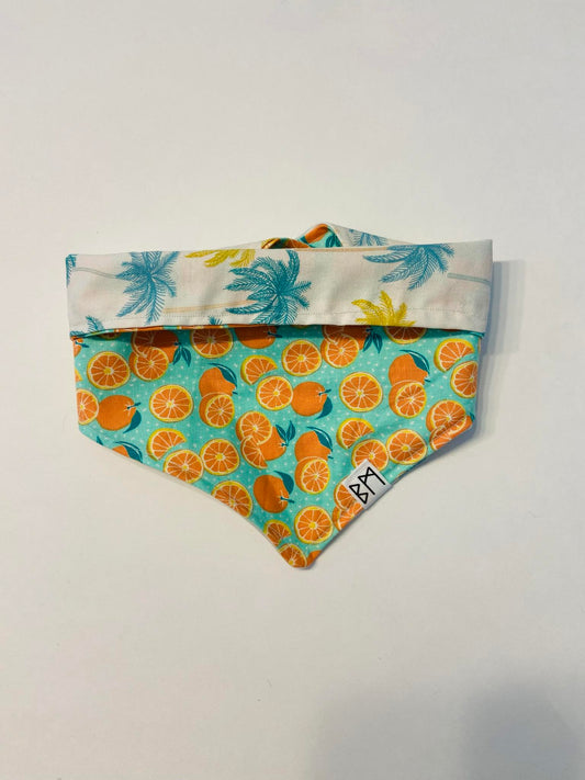 "Floride" Bandana