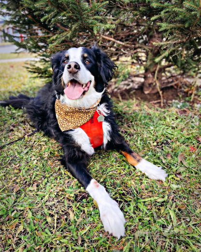 "Woods" Bandana