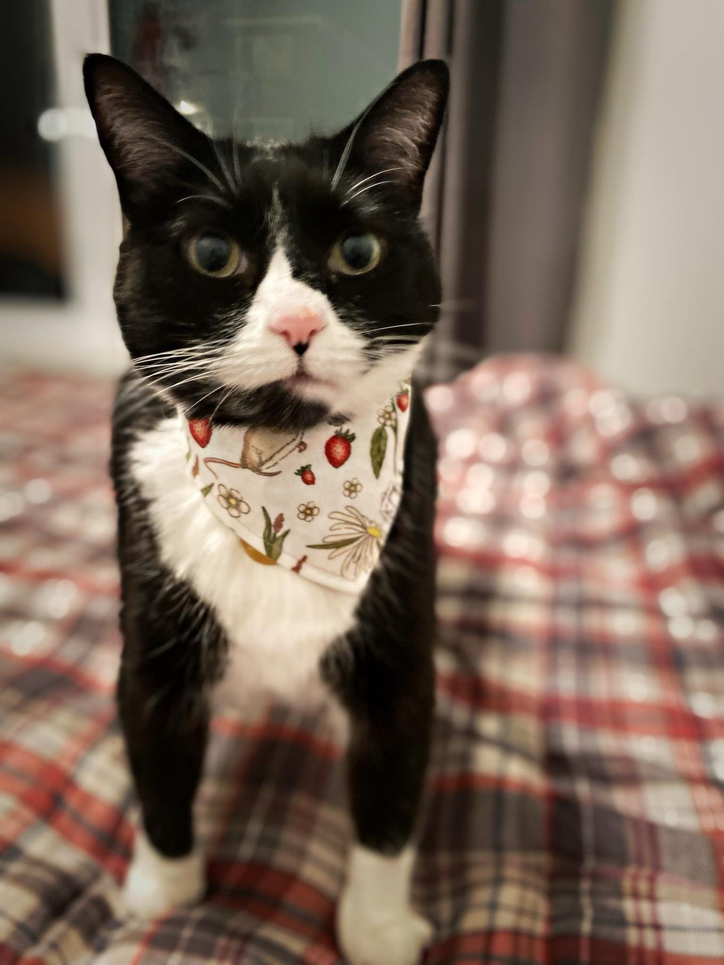 "Garden Mouse" Bandana