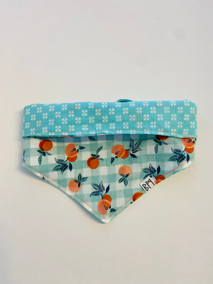 "Simply Orange" Bandana