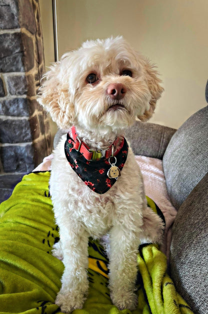 "Rouge Fraise" Bandana