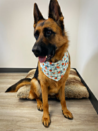 "Simply Orange" Bandana