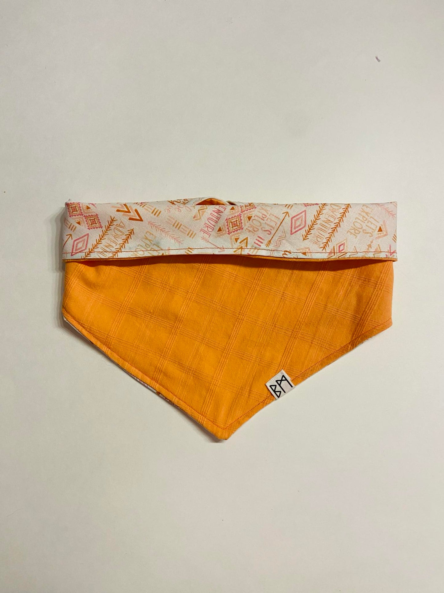 "Coral Explorer" Bandana