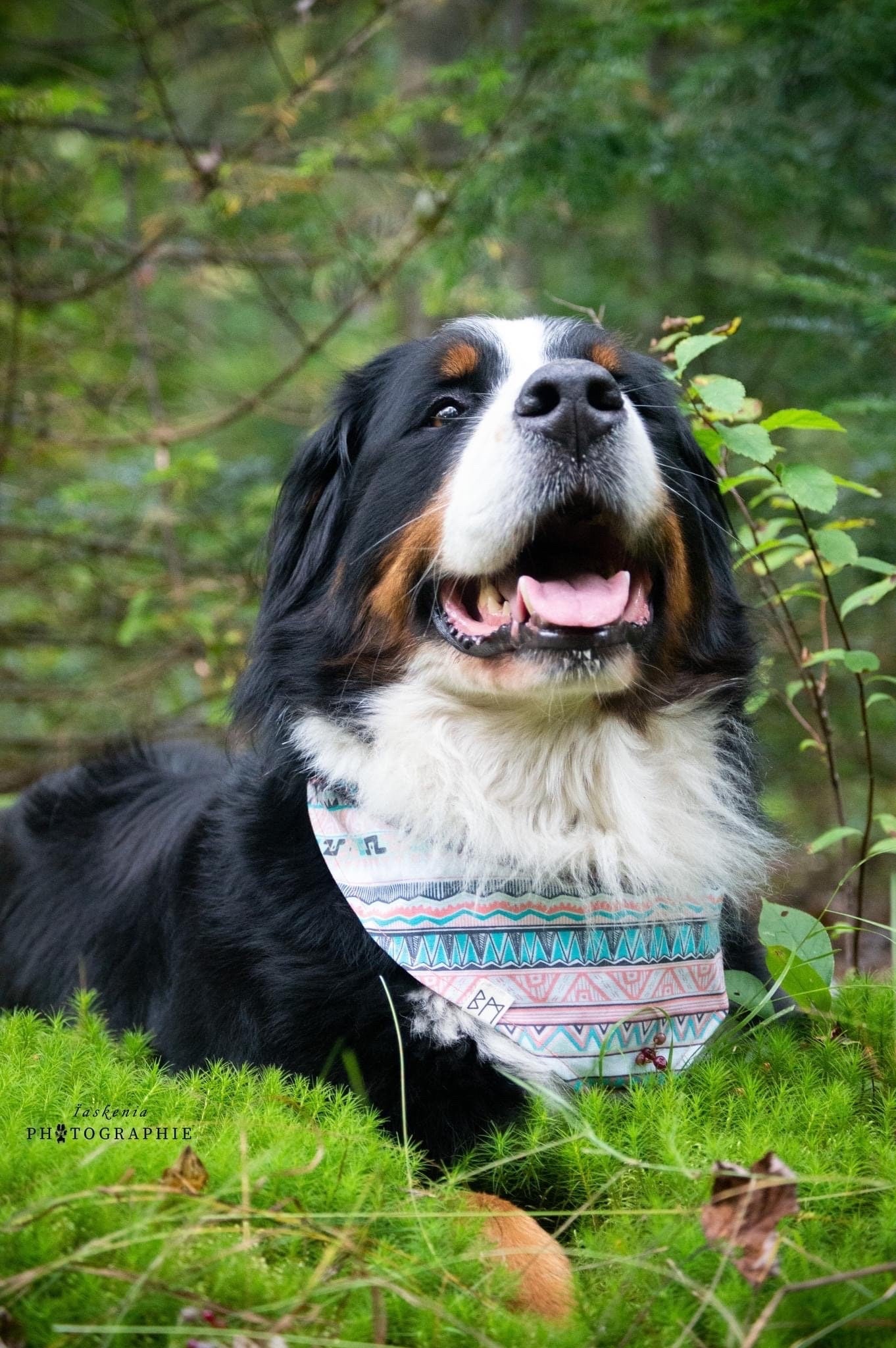 "Aztec" Bandana