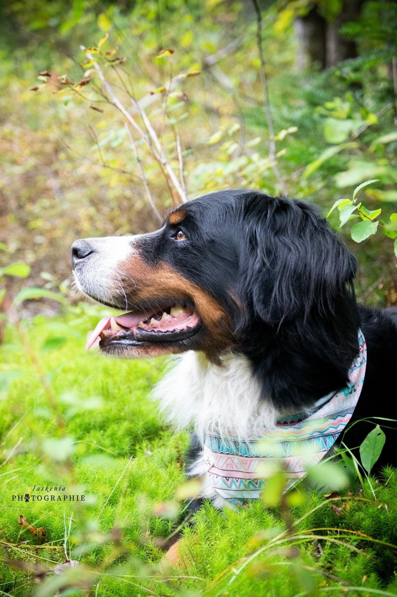 "Aztec" Bandana