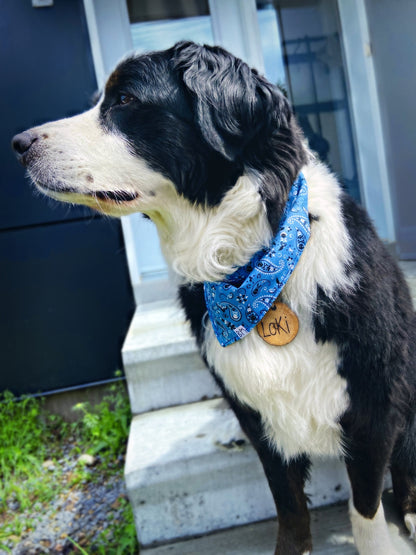 "Old School" Bandana