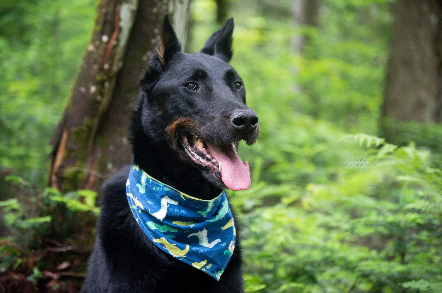 "See You Later, Alligator" Bandana