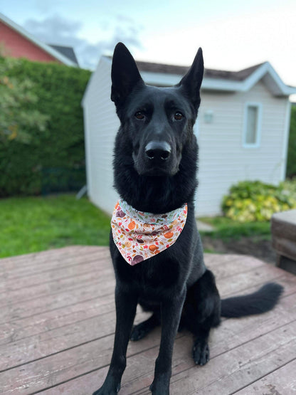 "Nature d'Automne" Bandana