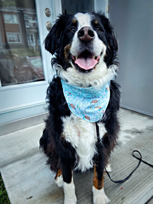 "Sea Turtles" Bandana