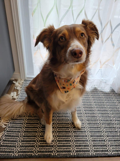 "Pumpkin Spice Latte" Bandana