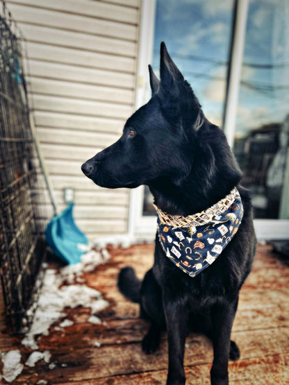 "Cowboy" Bandana